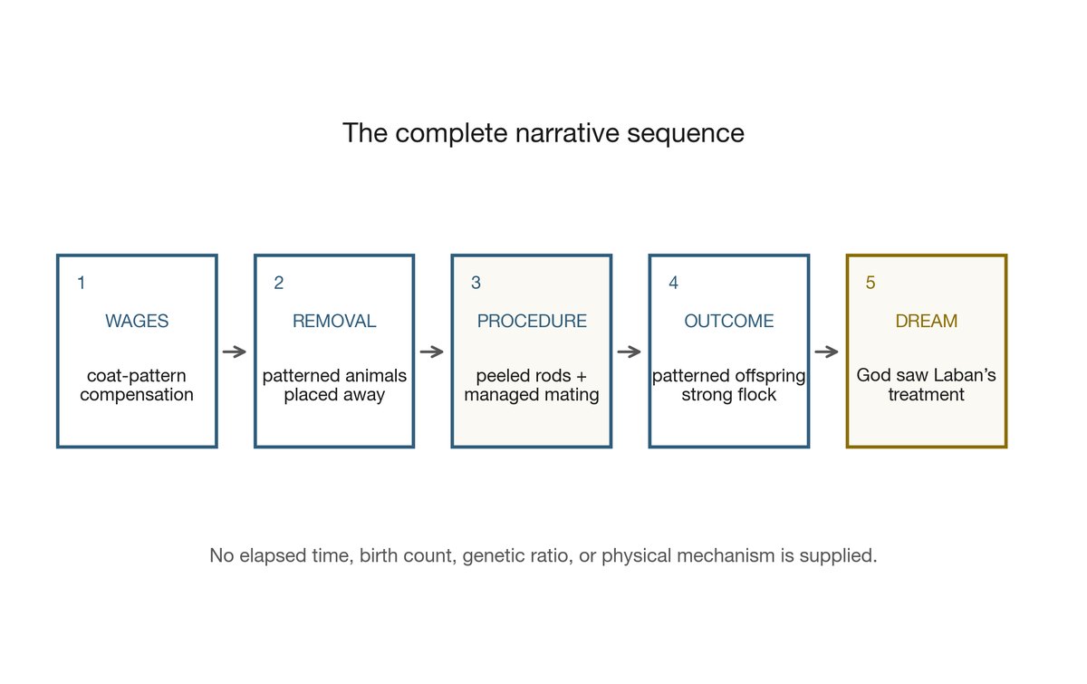 The complete narrative sequence: disputed wages, removal of patterned animals, striped rods and managed mating, patterned offspring, and the later dream attributing the result to God’s oversight.