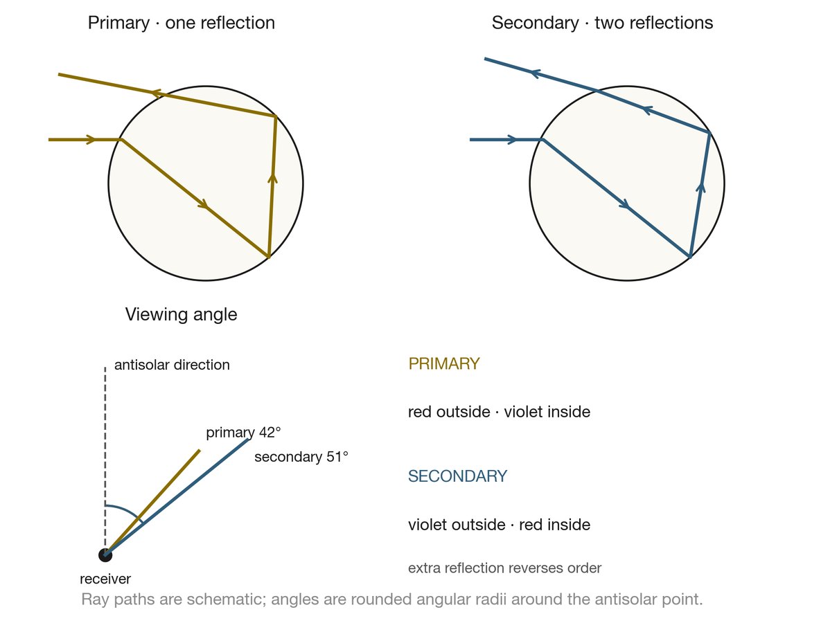 Sunlight entering a spherical droplet, reflecting once for the 42-degree primary bow and twice for the approximately 50–51-degree secondary bow; observer and antisolar direction complete the geometry.